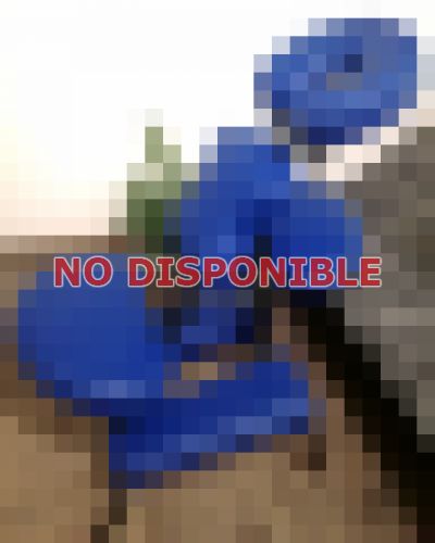Andy 094966223, Escort en Tres Cruces