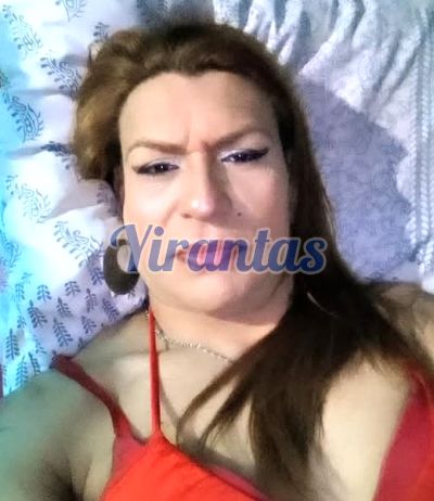 Elisabeth 098862218, Trans en Salto