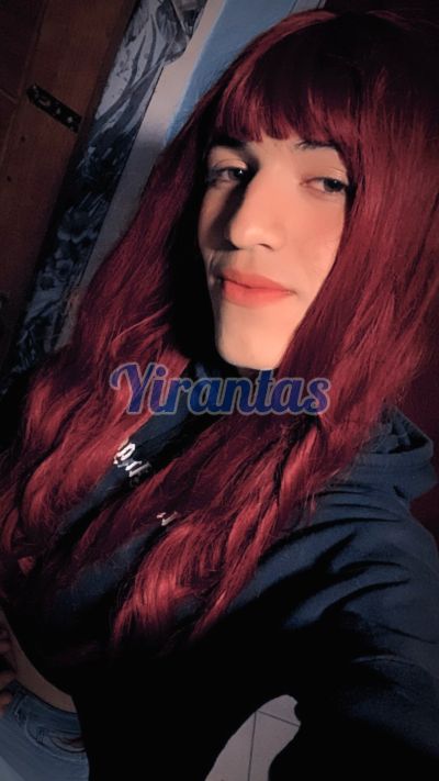 Daniela 092459480, Trans en Paysandú