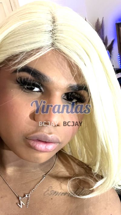 Kendall 09845639, trans en Punta del Este