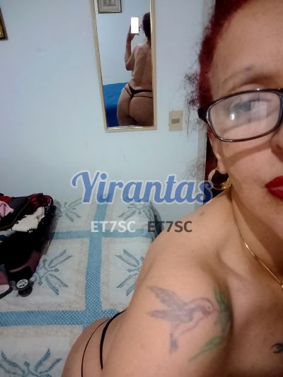 Ursula 097512619, escort en Melo