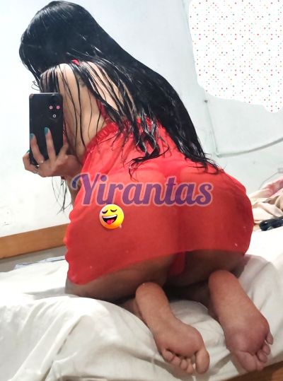 Madison 095498862, escort en Punta del Este